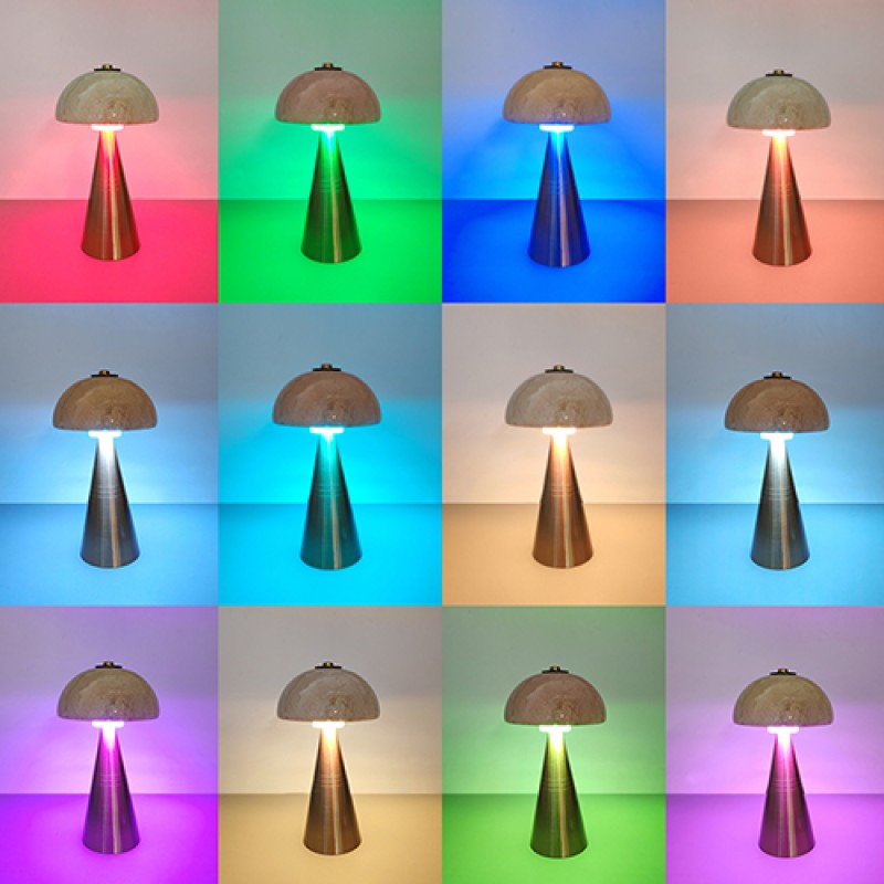 NF22S1 Aluminum Stone Table Lamp 