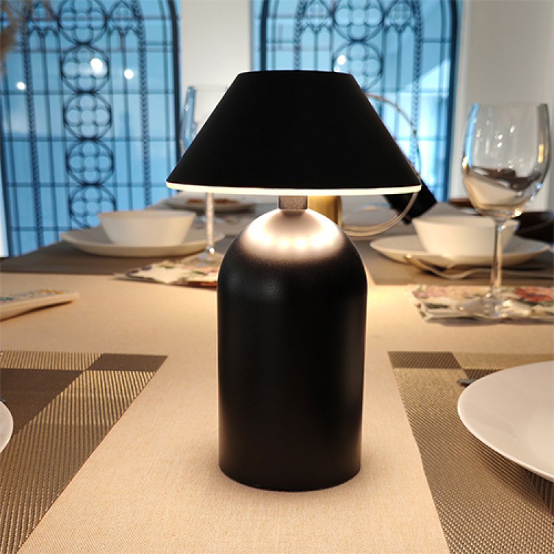 NF45D9 Aluminum Table Lamp 
