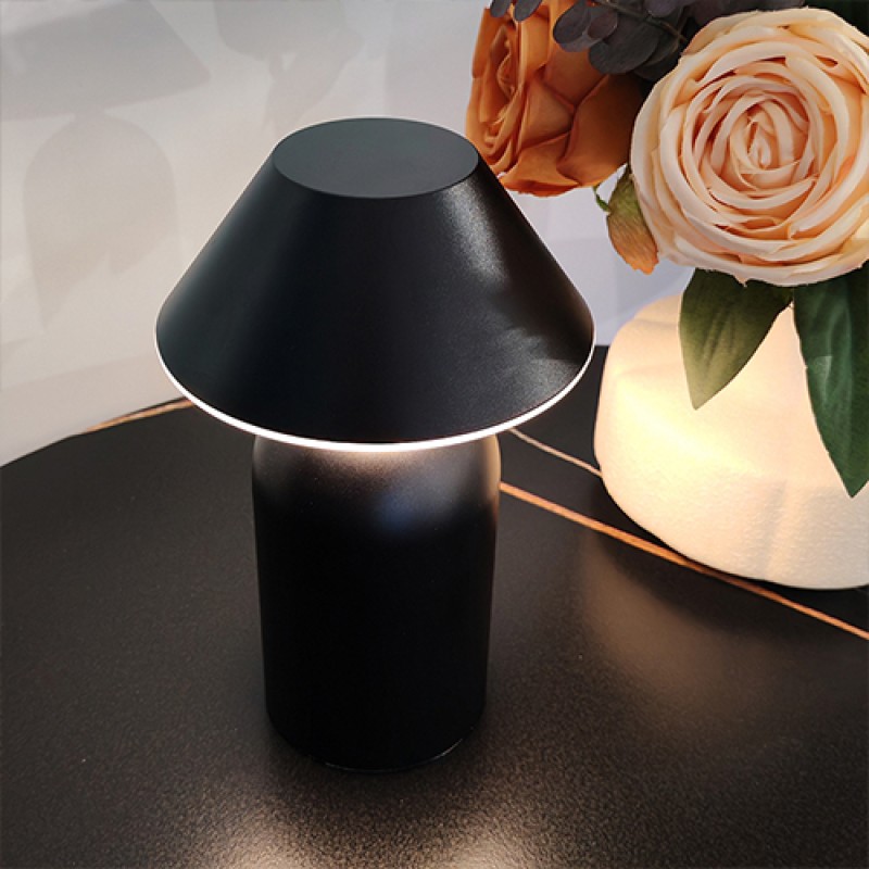 NF45D9 Aluminum Table Lamp 