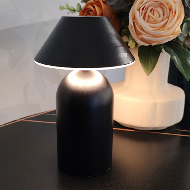 NF45D9 Aluminum Table Lamp 