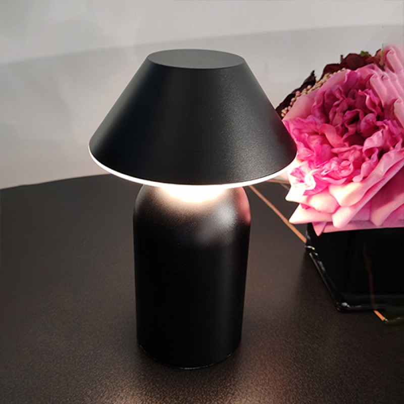 NF45D9 Aluminum Table Lamp 