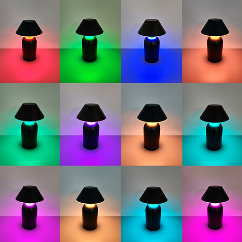NF45D9 Aluminum Table Lamp 